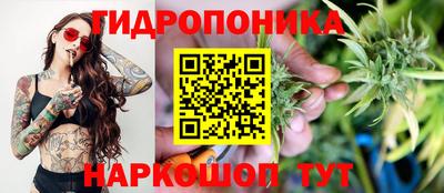 мяу мяу мука Усть-Джегута