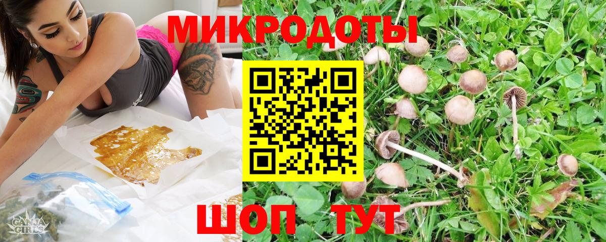 Псилоцибиновые грибы Cubensis Александров